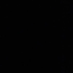 Meet your Posher, Santos